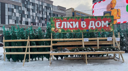 Новосибирцы не спешат покупать ёлки на базарах перед Новым годом