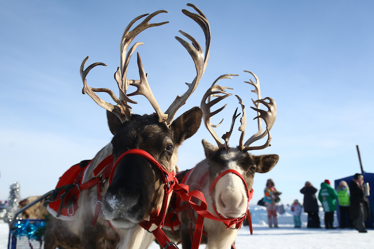 фестиваль иглу 2026 "Город Эскимосов", фото Алина Кухмарь фестиваль иглу 2026 "Город Эскимосов", фото Алина Кухмарь