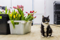 В Новосибирской области март 2026 года будет очень теплый