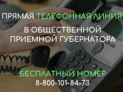 В Новосибирской области для семей с детьми пройдёт «День открытых дверей» и «прямая линия»