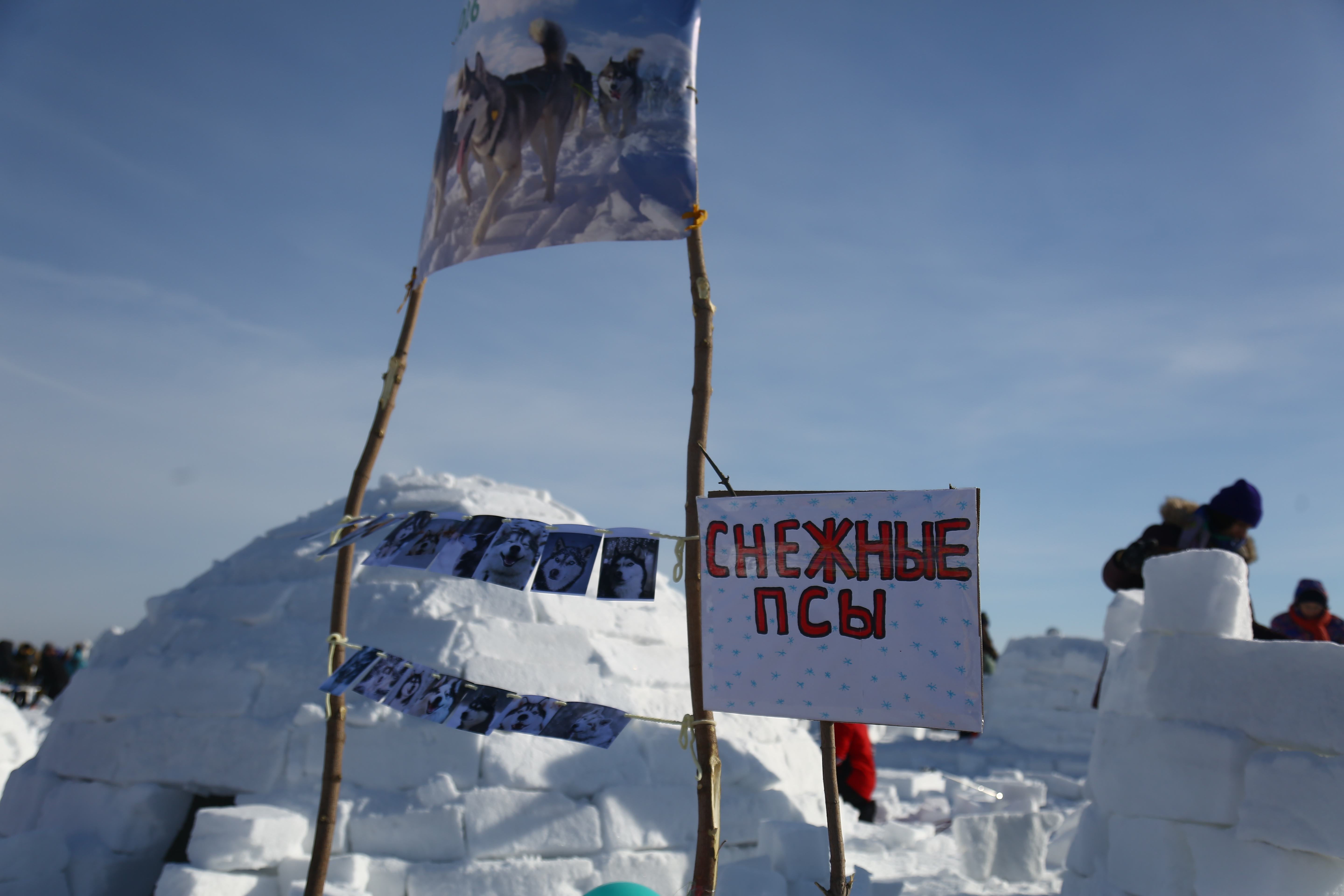 фестиваль иглу 2026 "Город Эскимосов", фото Алина Кухмарь фестиваль иглу 2026 "Город Эскимосов", фото Алина Кухмарь