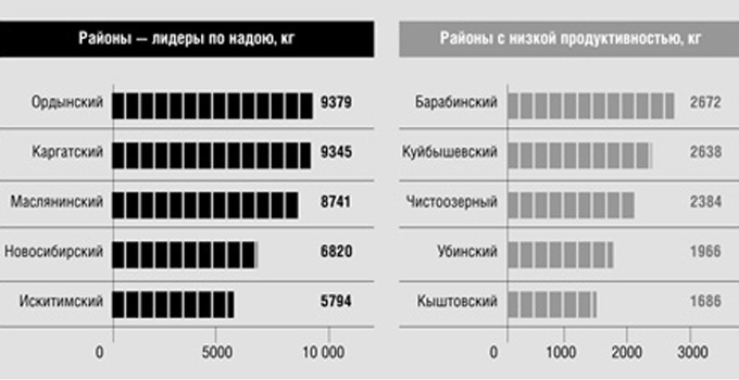молоко инфографика.jpg молоко инфографика.jpg